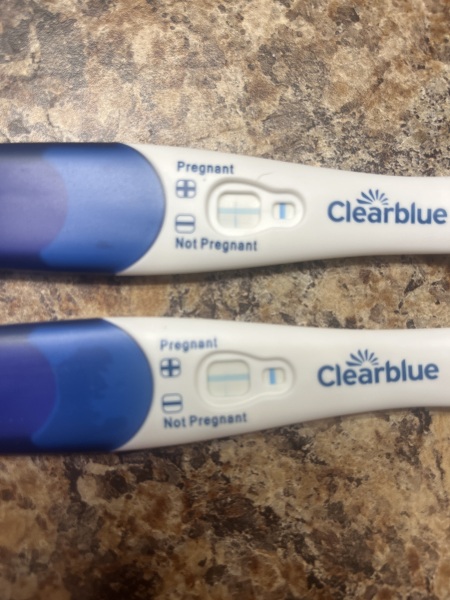 Clear blue evap line