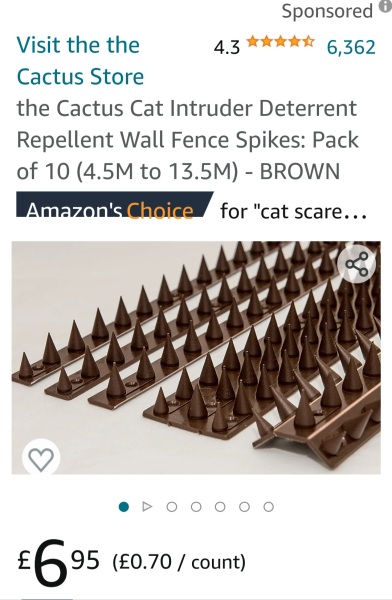 To want cat-owner to acknowledge impact on me?