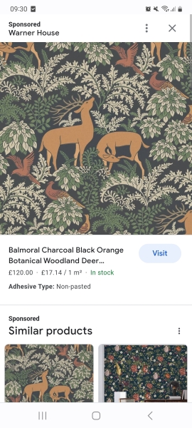 This wallpaper for my living room?