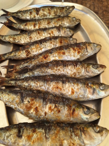 Week 3 - Back-to-School Bootcamp - Introducing Bootcamp Light