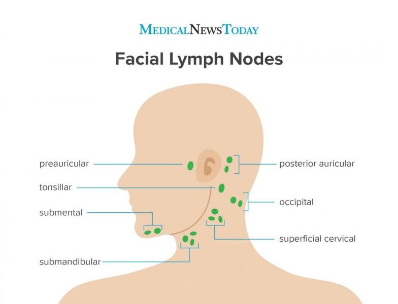 To ask if this is a swollen lymph node?