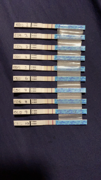 LH readings?