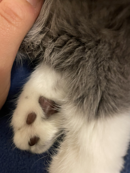 Potential new inmate at Toddler Towers.