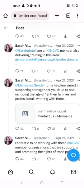 NCVO review of mermaids