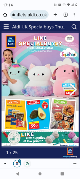 What did you get / are you getting for your 9 year old dd - toys?  Or will she be too grown up?