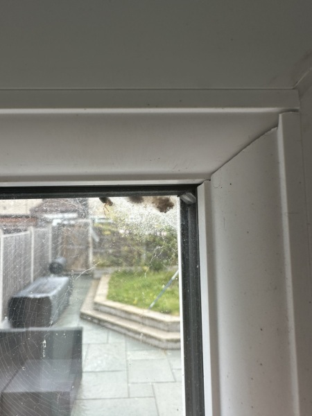 Just wanted to show off this bad boy (don't look if you don't like spiders)