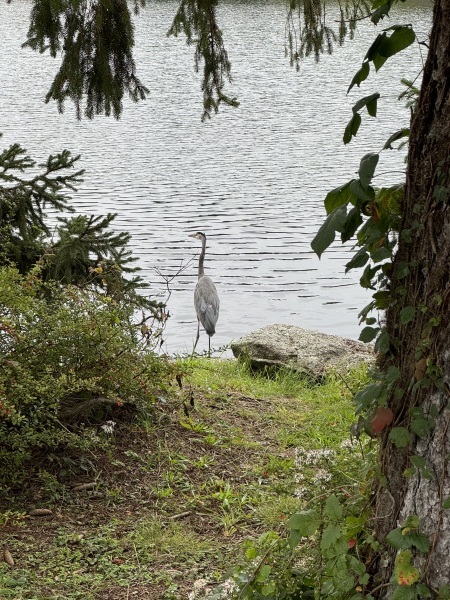 Come and tell me your dull and unexciting news 26: Calmly through the day 