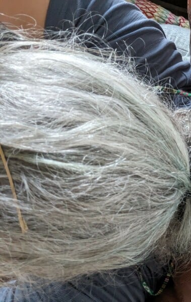 What age did you get your first couple of grey hairs and how long until lots?