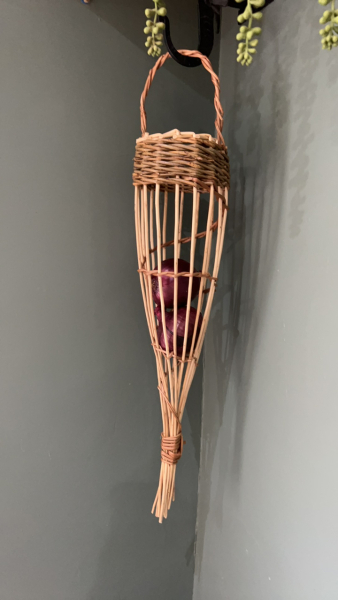 Has anyone got an onion storage pot?