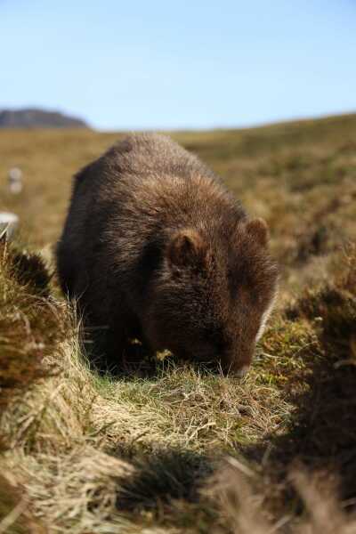 Cancer Support Thread 89 - the best thread that no one wants to be on.