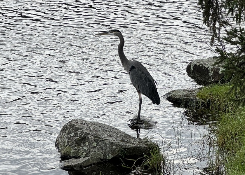 Come and tell me your dull and unexciting news 26: Calmly through the day 