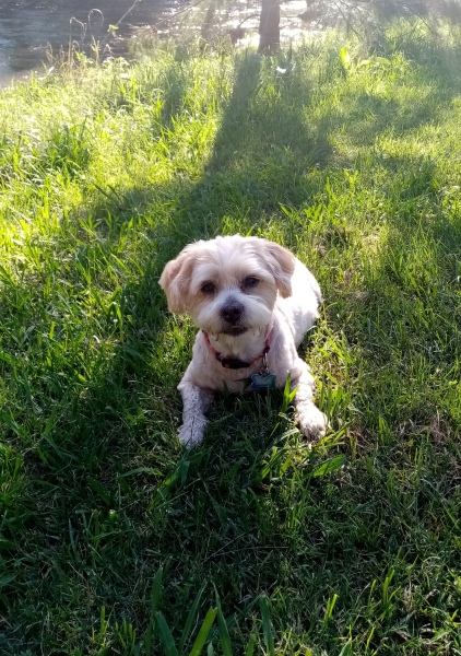 Come and tell me your dull and unexciting news 25: Calmly through the day 