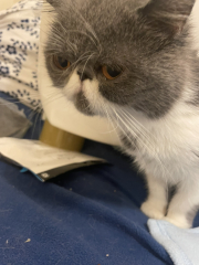 Potential new inmate at Toddler Towers.