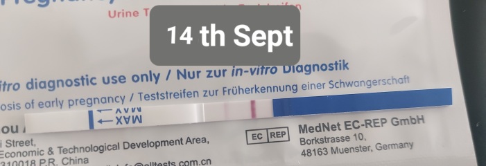 Pregnant after miscarriage?