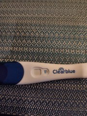 Clear blue test. Evap line or positive