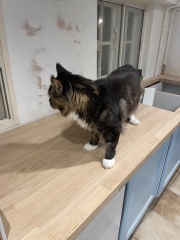 Come and tell me your dull and unexciting news 26: Calmly through the day 