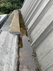 Valley gutter lining - what should i do?
