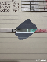 Implantation?