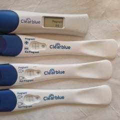 Due May 2024?