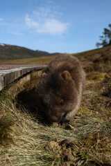 Cancer Support Thread 89 - the best thread that no one wants to be on.