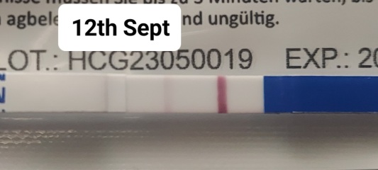Pregnant right after a miscarriage?