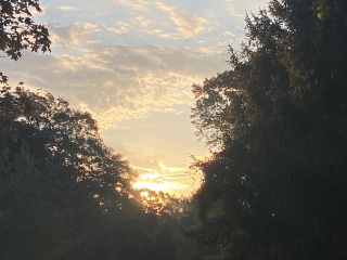 Come and tell me your dull and unexciting news 26: Calmly through the day 