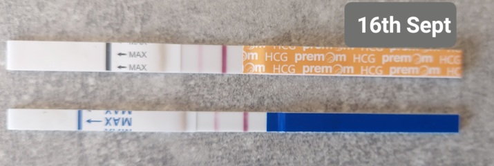 Pregnant after miscarriage?