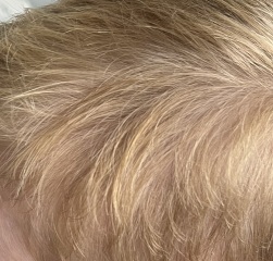 Settle a debate - hair colour