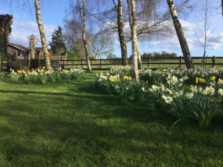 What have you done in the garden today? Part 3