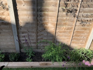 Garden help