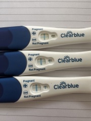 FET / IVF August 2023 - thread 2