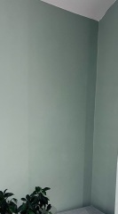 Olive/warm green paint
