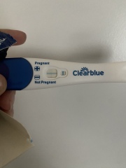 Evap line ? Clear blue