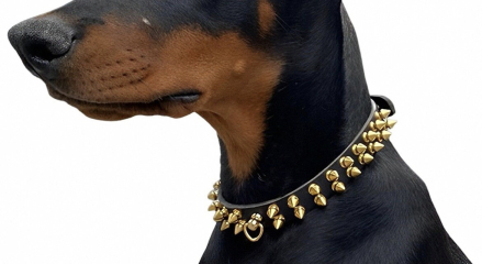 Would your dog defend you on a walk? If so what breed is it?