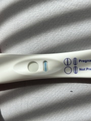 5 and half week scan no yolk or pole- help