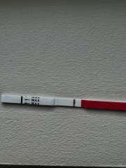 Evap line ? Clear blue