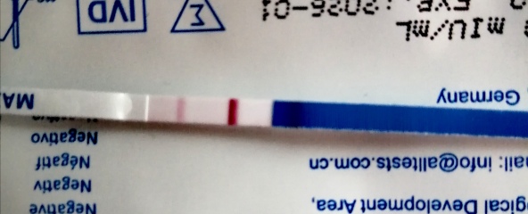 Are one step tests accurate