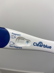 Second “official” 2ww 1dpo