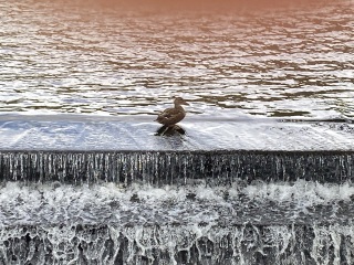 Come and tell me your dull and unexciting news 26: Calmly through the day 