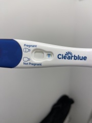 Second “official” 2ww 1dpo