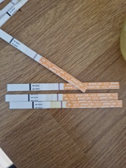 Help please, could this be a new pregnancy or left over HCG?