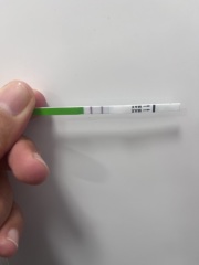 Is this positive OPK