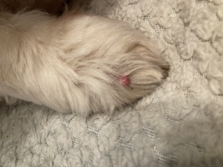What is this please?