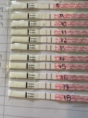 FET / IVF August 2023 - thread 2