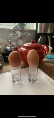 Double Yolkers