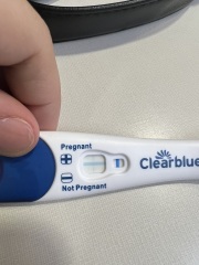 pregnancy test