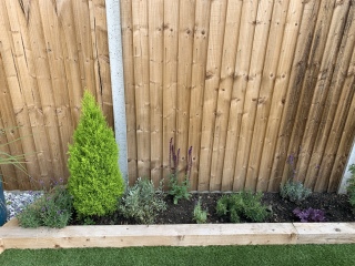 Garden help