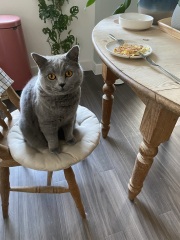 Thread 10 - TalkLair: “The candle flame gutters. Its little pool of light trembles.”