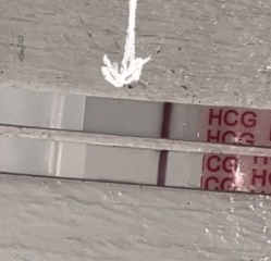 How reliable are hcg tests on day of expected period