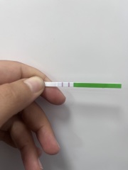 Is this positive OPK